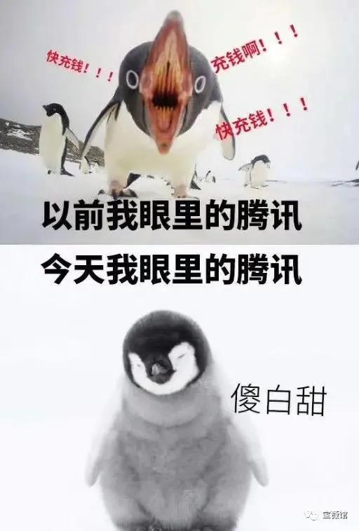 娱乐吃瓜酱自由男女平等,自由男女平等,共筑和谐娱乐生态